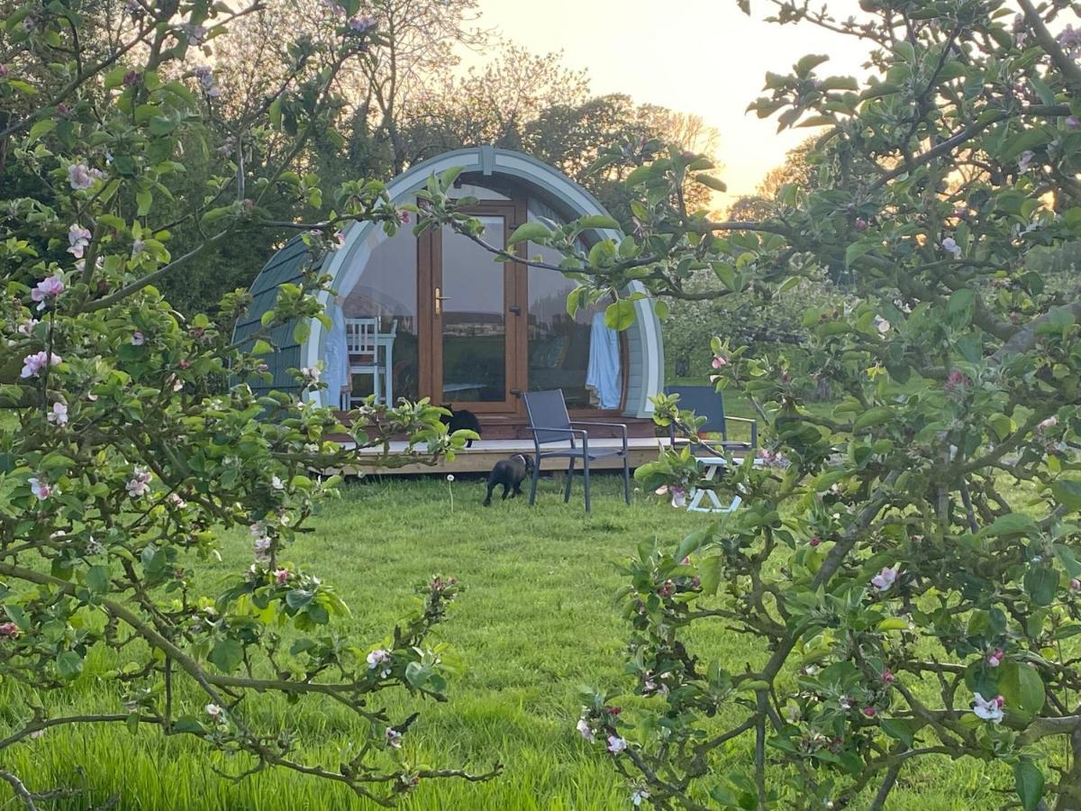 Отель Orchard Luxe Glamping Pod Данганнон Экстерьер фото